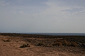 Kanary_2010 057